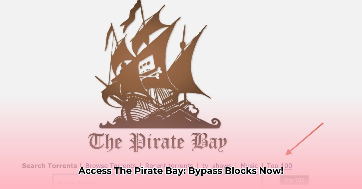 piratebay10